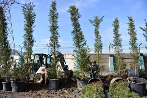 ERDEMİR YEŞİLİ ÖNEMSİYOR..!