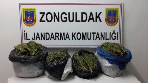 ALAPLI’DA 13 KİLO ESRAR..!