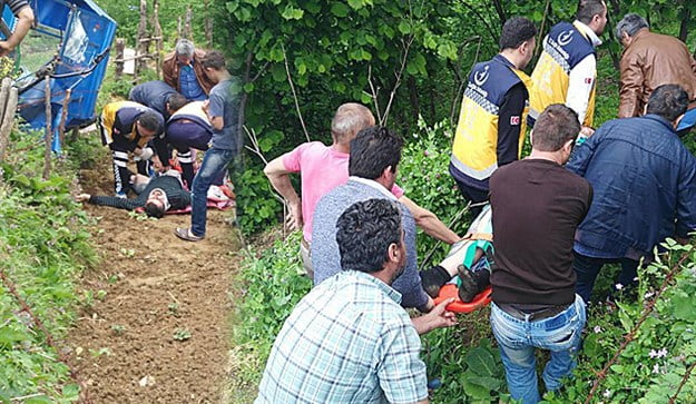 FINDIK TARLASINA UÇTU