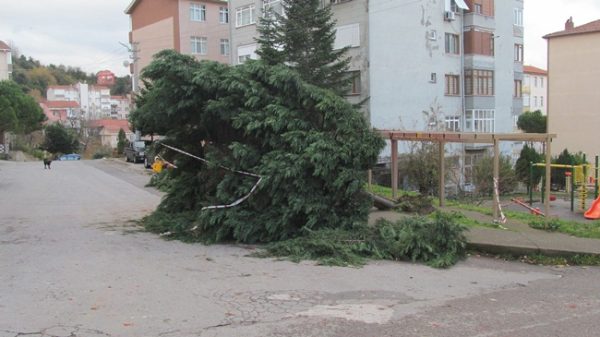 FIRTINA KUVVETLİYDİ..