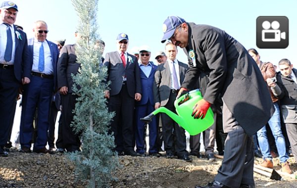15 TEMMUZ ŞEHİTLERİ HATIRA ORMANI