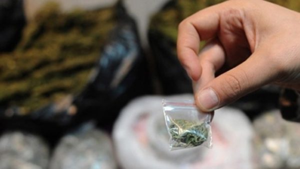 ÜZERİNDEN 14 GR BONZAİ ÇIKTI