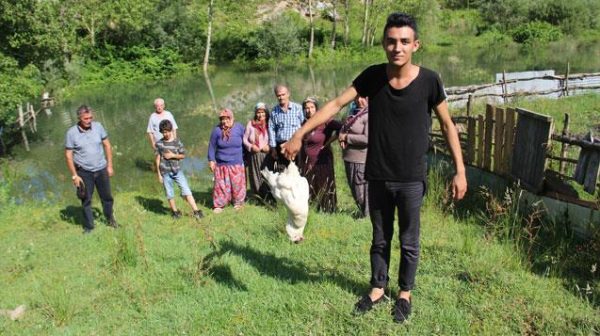 O.S.B’DE HEYELAN..