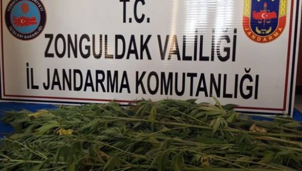 JANDARMA’DAN KENEVA�R OPERASYONU..