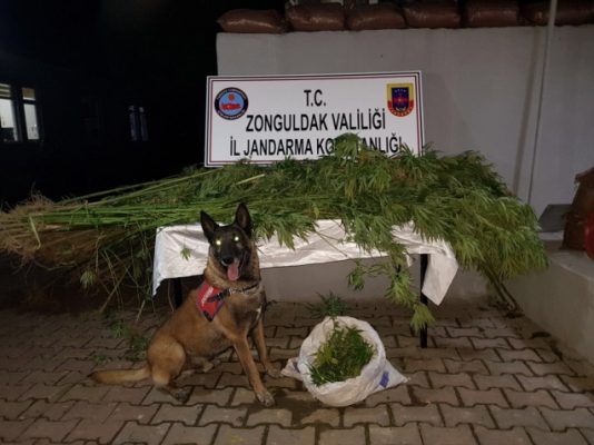 JANDARMA’DAN UYUAzTURUCU OPERASYONU..