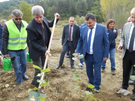 DEVREK DURUPINAR KA�YA?NDE A�RNEK FINDIK BAHA�ESA� FA�DAN DA�KA�MA� YAPILDI..