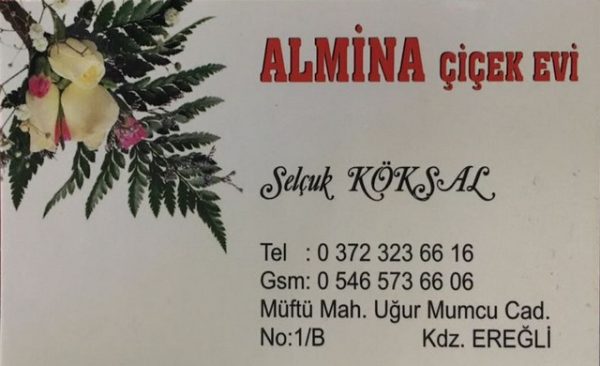 ALMA�NA A�A�A�EK EVA�