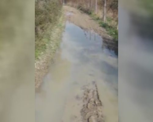 SA�ZCE YOLA BENZA�YOR MU?