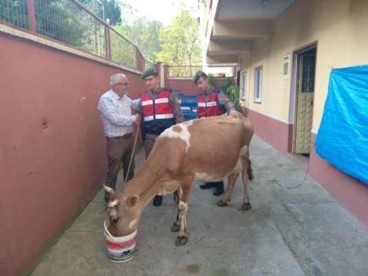 A�ALINAN A�NEK BULUNDU