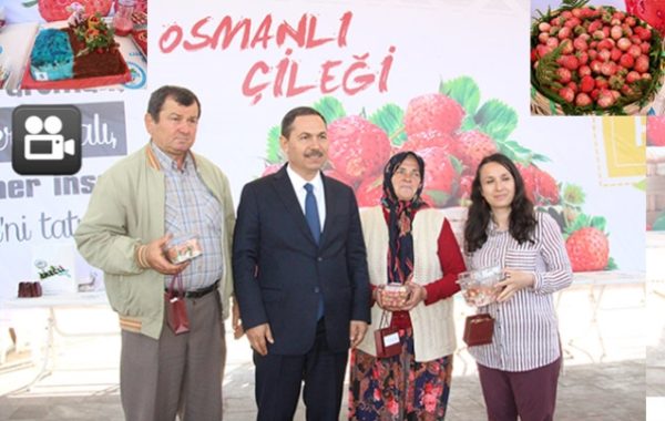 EN GA?ZEL OSMANLI A�A�LEAzA� SEA�A�LDA�