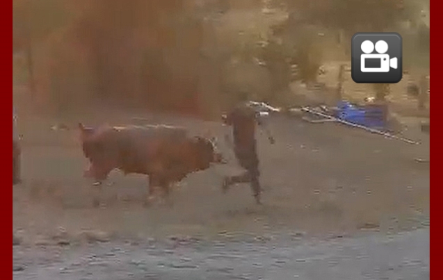 2 KİŞİYİ YARALADI VE KAYBOLDU…