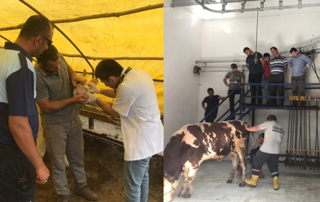 33 KİŞİYE KURS VERİLDİ