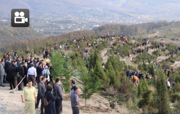 32 BİN FİDAN DİKİLDİ…