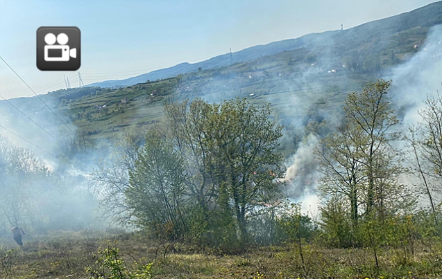 EREĞLİ’NİN KÖYÜNDE ORMAN YANGINI…