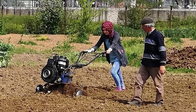 EREĞLİ’DE TARIM SÜRÜYOR…