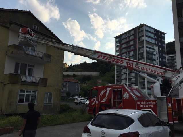 OPERASYONUN ADI KEDİ…