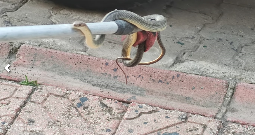 İŞ YERİNİ ZİYARET ETTİ…