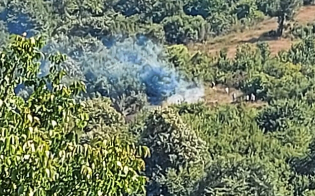 EREĞLİ’DE ORMAN YANGINI…