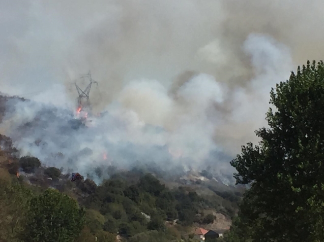 BÖLÜCEK KÖYÜNDE YANGIN…