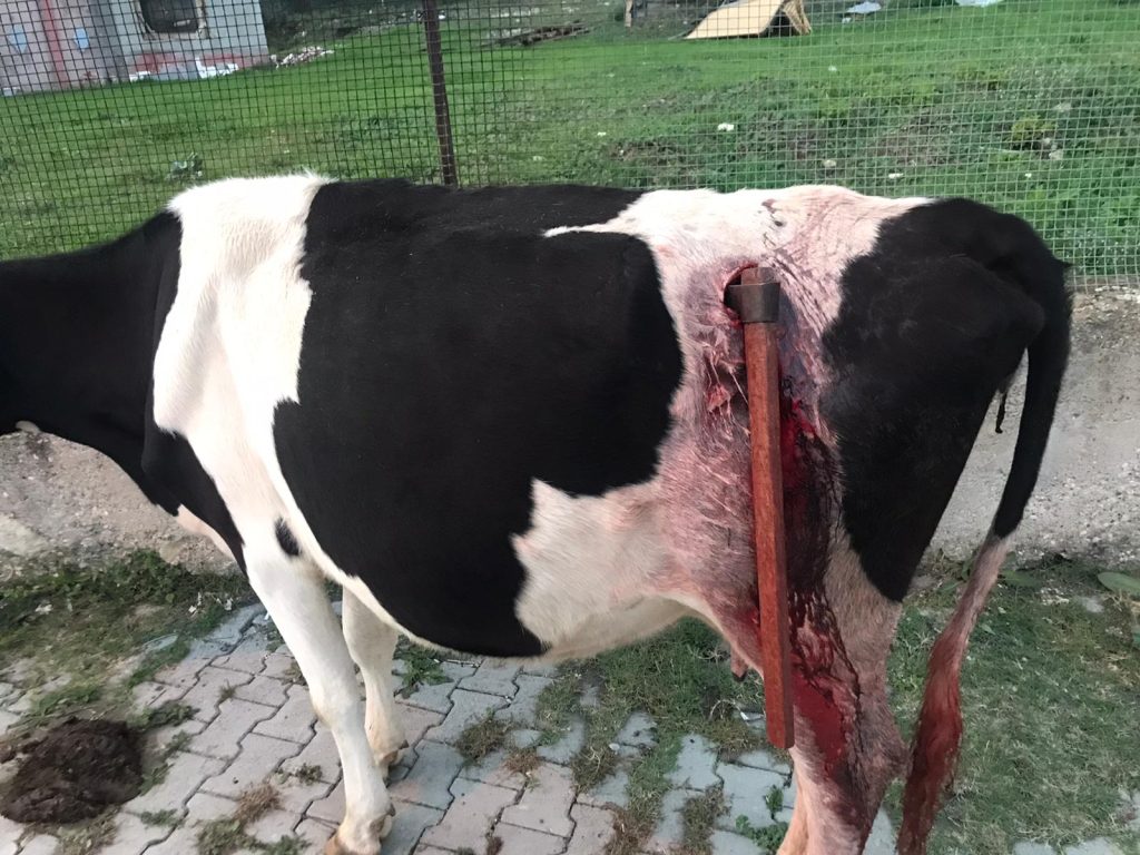 BUNU YAPAN İNSAN OLAMAZ…