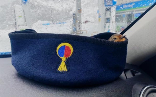 Ekipler tarafından fark edildi.