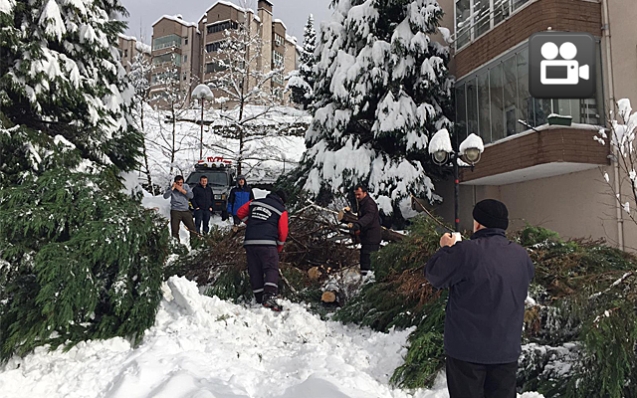 Deprem oluyor sandılar.