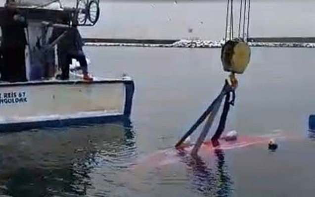 Sadece bir tanesi kurtarıldı.