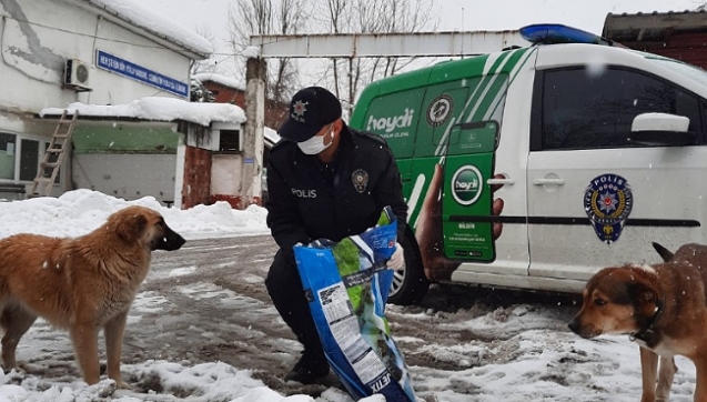 Sokak hayvanlarının yanında…