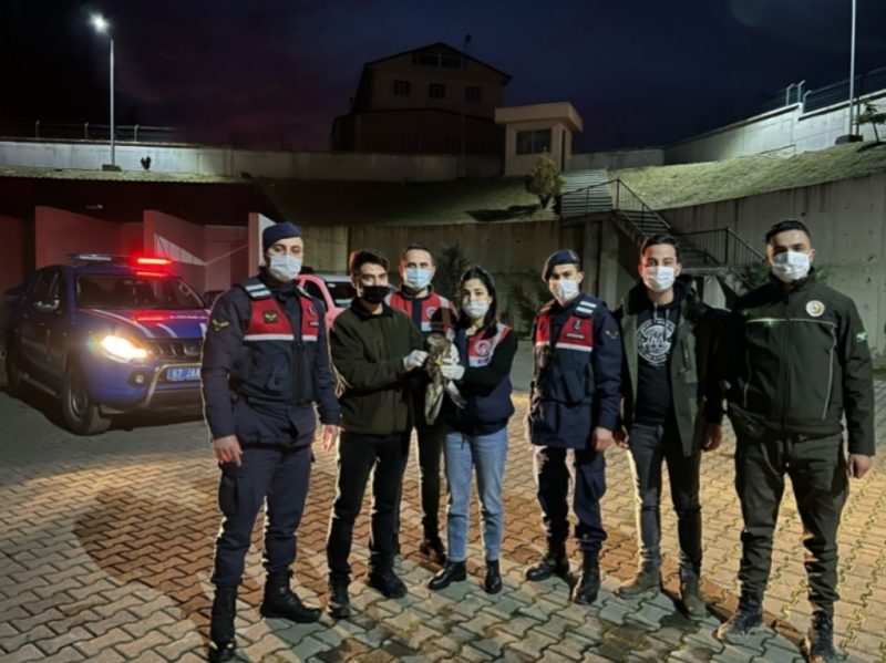 Yaralı halde bulundu.