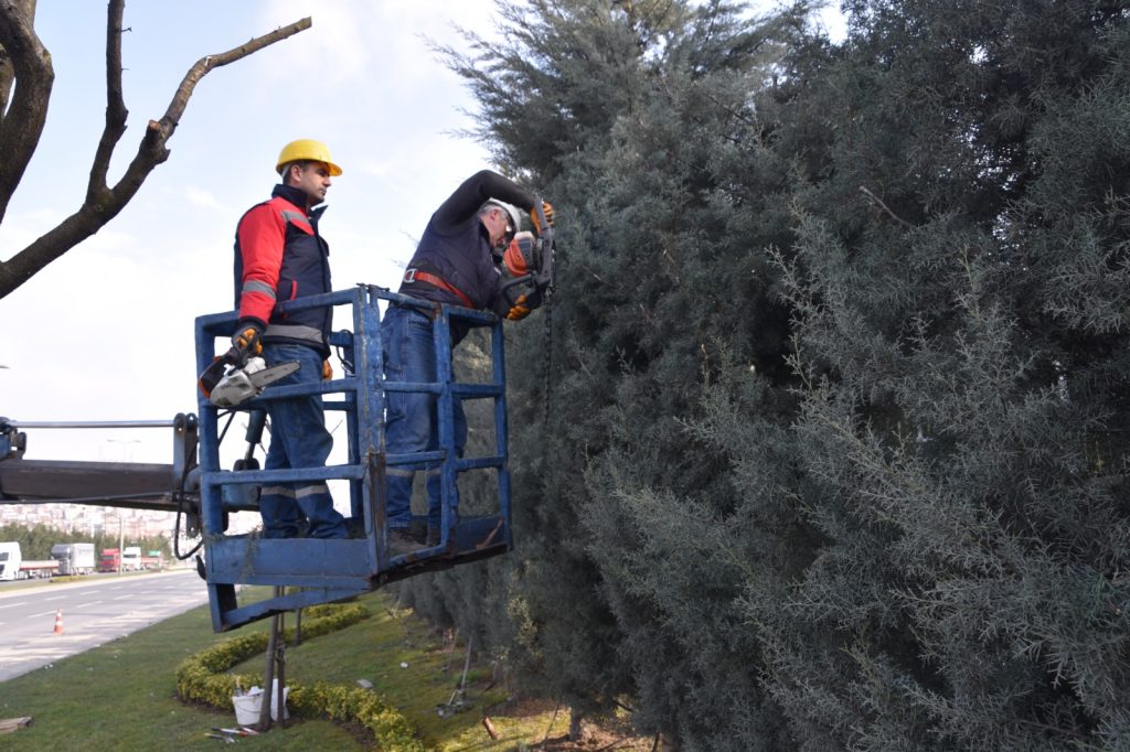 Bahar hazırlıkları…