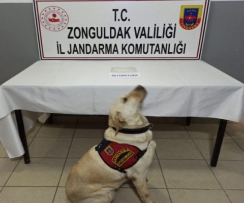 3 kişi tutuklandı