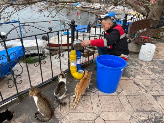 Küçük dostlar unutulmuyor…