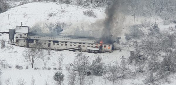 Tavuk çiftliği yandı…