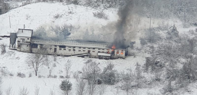 Tavuk çiftliği yandı…