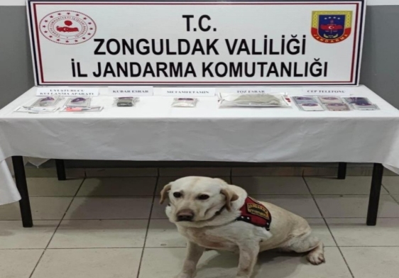 Operasyonlar hız kesmiyor.