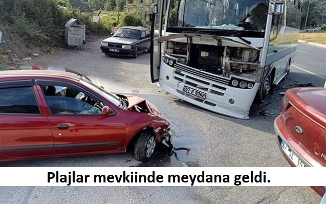 Plajlar mevkiinde meydana geldi…