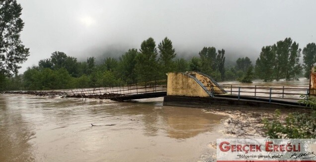 Sulara dayanamadı…