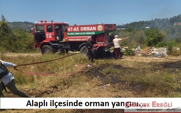 Alaplı ilçesinde orman yangını…