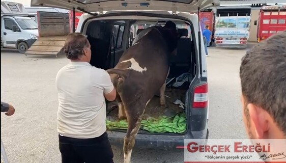 Danaya özel araç…