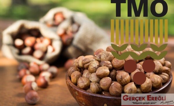 Fındık alımları başlıyor…