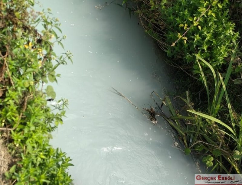Suyun renginin değişmesi korkutuyor…