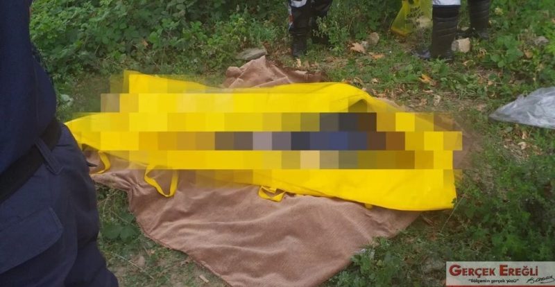 Devrek Çayı’na düştü…