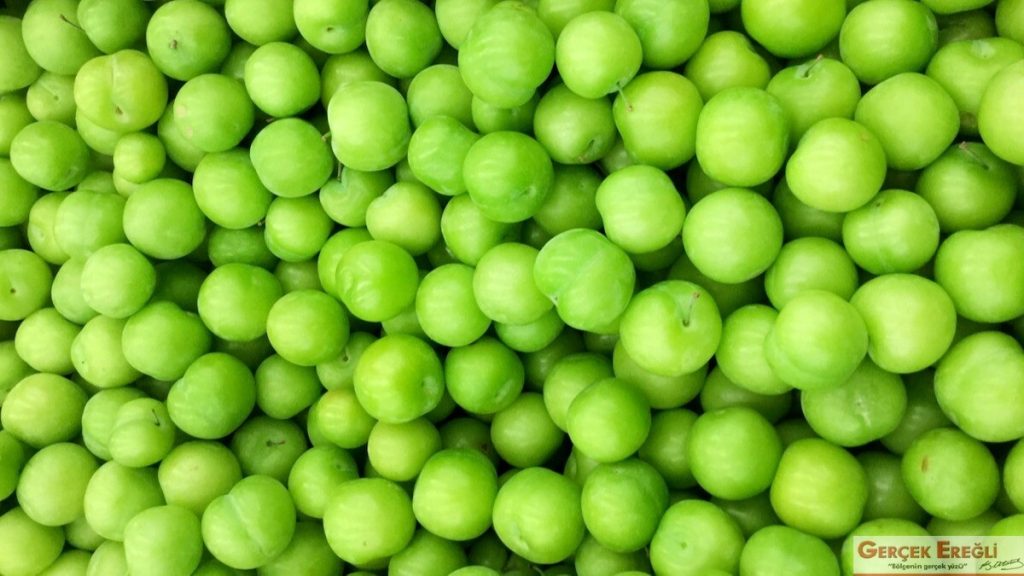 Erik toplama karakolda bitti…