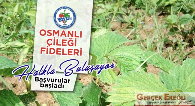 Ücretsiz dağıtılacak…