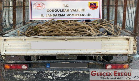 Tam o sırada kamyonete yüklüyorlardı…