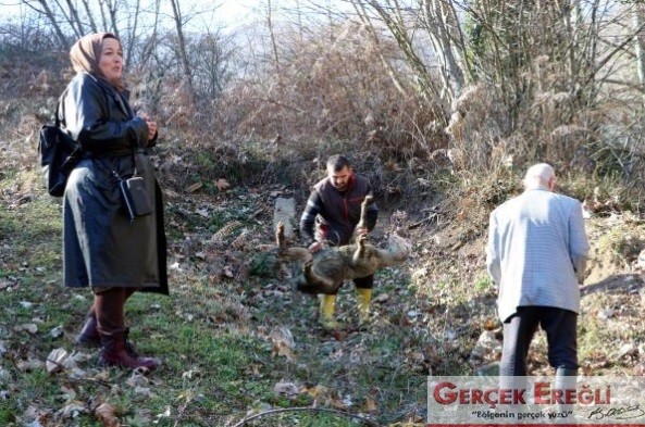 ‘Rüyamda gördüm’ dedi…