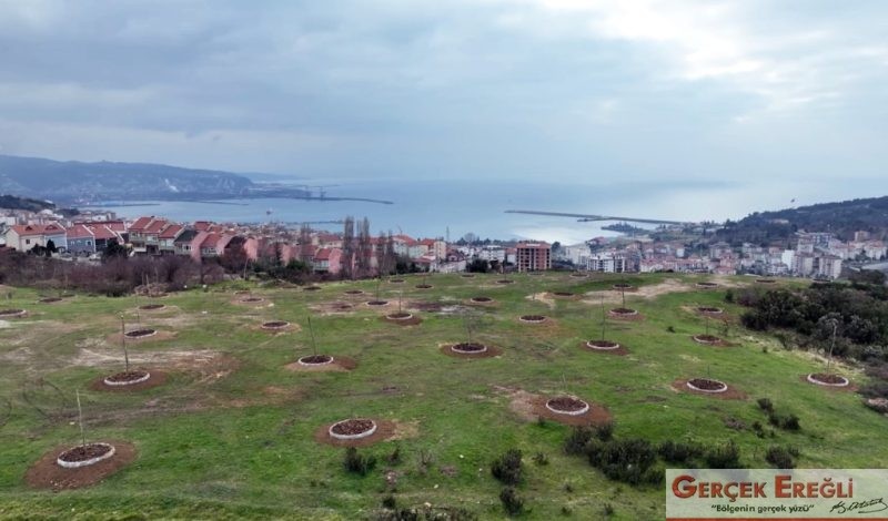 Ereğlimize hayırlı olsun…
