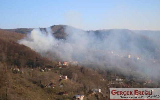 Yangın ormanlık alana yayıldı…
