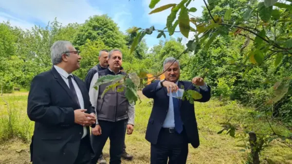 Torymus sinensis salımı gerçekleştirildi…