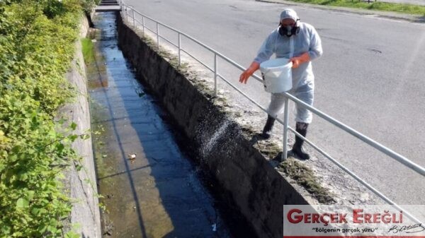İlaçlama çalışmaları başladı…